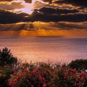 دانلود آهنگ رامی جمال حیاتی الحلوه